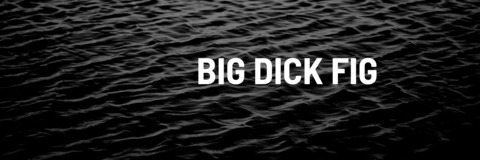 Header of bigdickfig