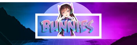 Header of bunnycorp