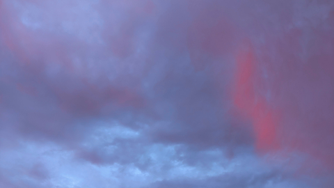 Header of bustybambi