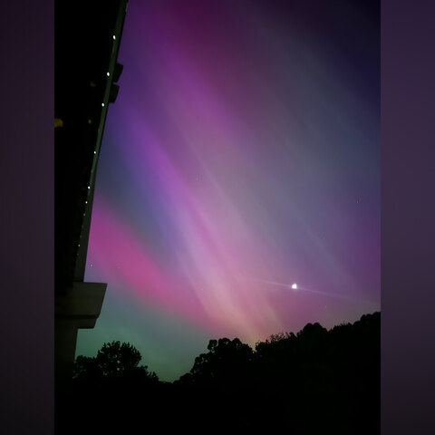 Header of kathryn_rose