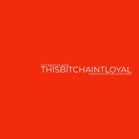 Header of thisbitchaintloyal